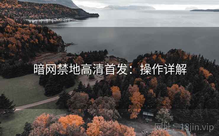 暗网禁地高清首发：操作详解