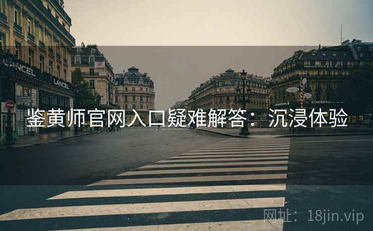 鉴黄师官网入口疑难解答：沉浸体验