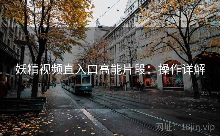 妖精视频直入口高能片段：操作详解