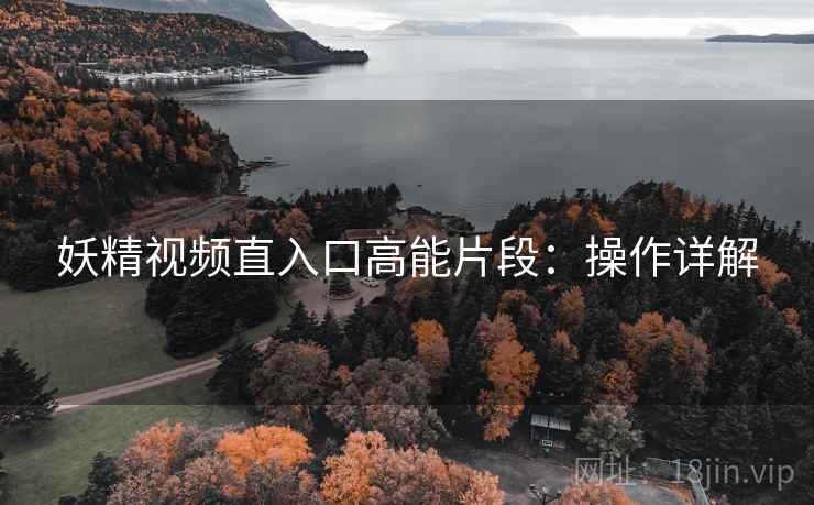 妖精视频直入口高能片段：操作详解