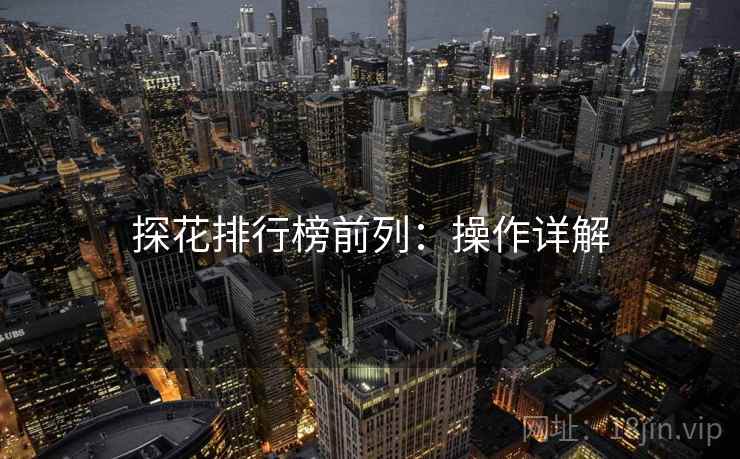 探花排行榜前列：操作详解