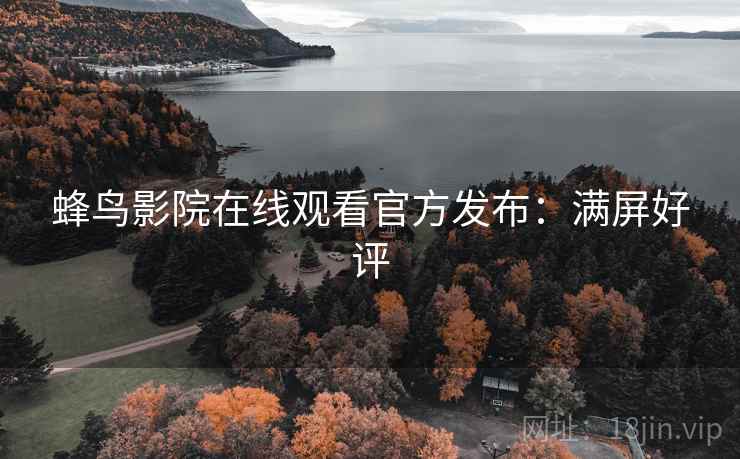 蜂鸟影院在线观看官方发布：满屏好评