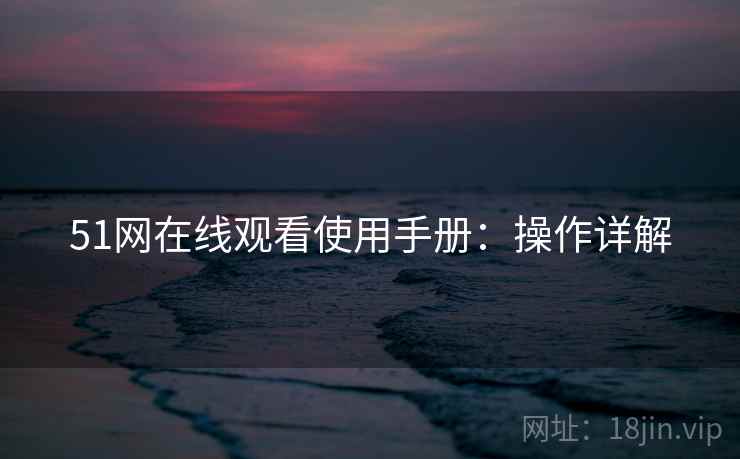51网在线观看使用手册：操作详解